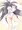 ぱい子ちゃん