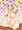 2月パンフ