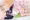 絹ちゃん