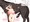 カオリわーにんぐ