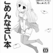 先日の
