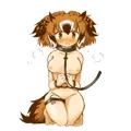 ミミちゃん助手2