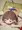 せんせいだいすき
