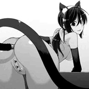 耳としっぽ