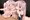 プリズマ搾精