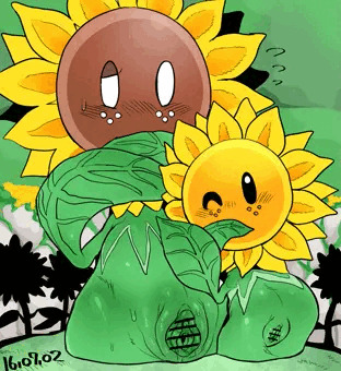 ひまわり