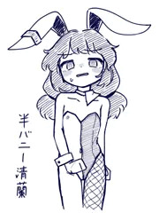半バニー清蘭