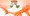 まことさんとくもり