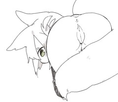すじ