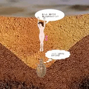 巨大アリジゴクの巣に落ちたしずかちゃん(笑)