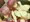 エロ姉妹