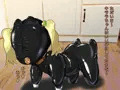 闇セレブのペットたち
