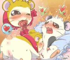 Pashmina-and-Panda