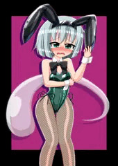 バニー妖夢