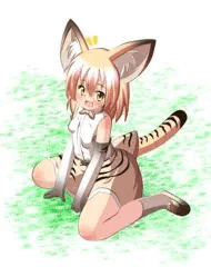 スナネコ