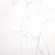 アオツラカツオドリ