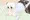 ばっく
