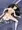 聖魔戦女