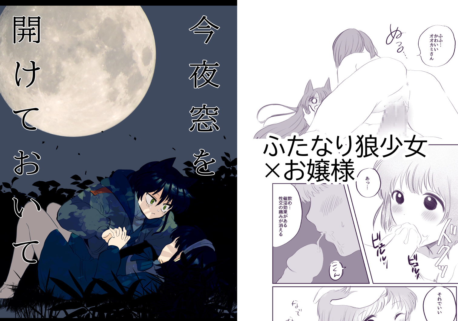 【告知】R18百合「今夜窓を開けておいて」DL頒布