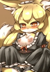 けもめいどん