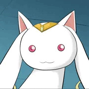 ボクと契約してセーラー戦士になってよ！