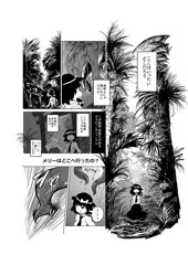 紅楼夢新刊「夢か現か幻か」