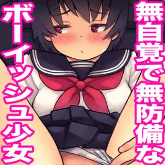 新作の販売が始まりました