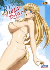 C92新刊「マリアさんともっとハメレコセッション」見本
