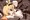 ようせいさん