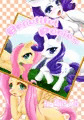 Beautiful ponies