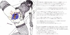 性器鑑賞2