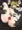 れんしゅうとちゅう２