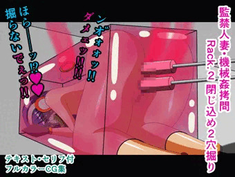 監禁人妻・機械姦拷問 Rack.2 閉じ込め２穴掘り