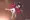 戯れ