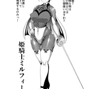 姫騎士　ミルフィーユ