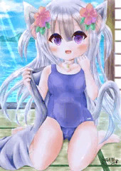 夏を満喫する猫