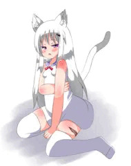 ねこチコリ
