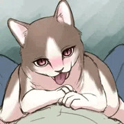 あかいねこ