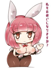 バニーさん