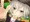 蛍丸に心配してもらう