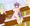 女子800m走