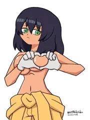 おっぱいハートホシノ
