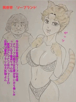 異世界ソープランド　キジトラ姫の純情