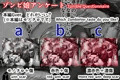 ゾンビ娘　腐食アンケート