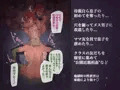 13作目のCG集