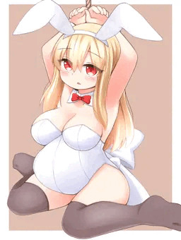 白バニー
