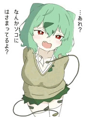 ギャルフシギダネ