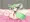 クロハちゃん受精