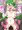 ドラコちゃん