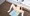 初めての電マオナニーでおしっこ漏らしちゃうlz皇女